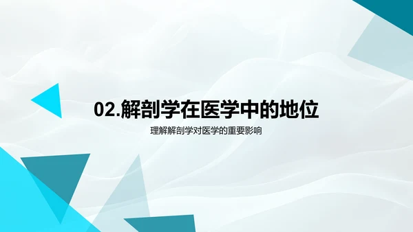 医学解剖学教程PPT模板