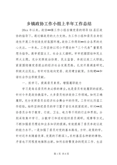 乡镇政协工作小组上半年工作总结.docx