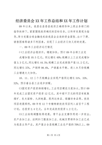 经济委员会XX年工作总结和XX年工作计划.docx