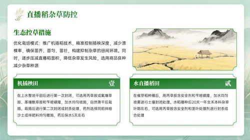 绿色中国风白露节气知识PPT模板