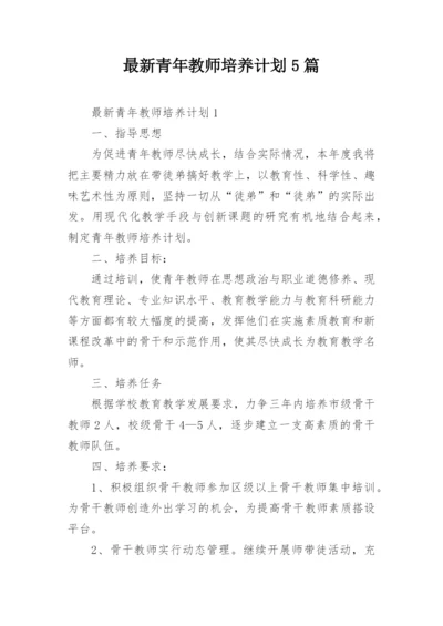 最新青年教师培养计划5篇.docx