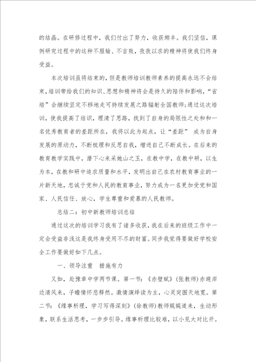 初中新老师培训总结