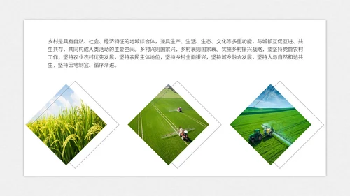 实拍笔刷风格美丽乡村农业介绍新时代农业农村现代化ppt模板