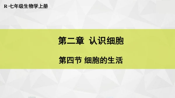 人教版（新课程标准）（2024）1.2.4细胞的生活(共41张PPT)