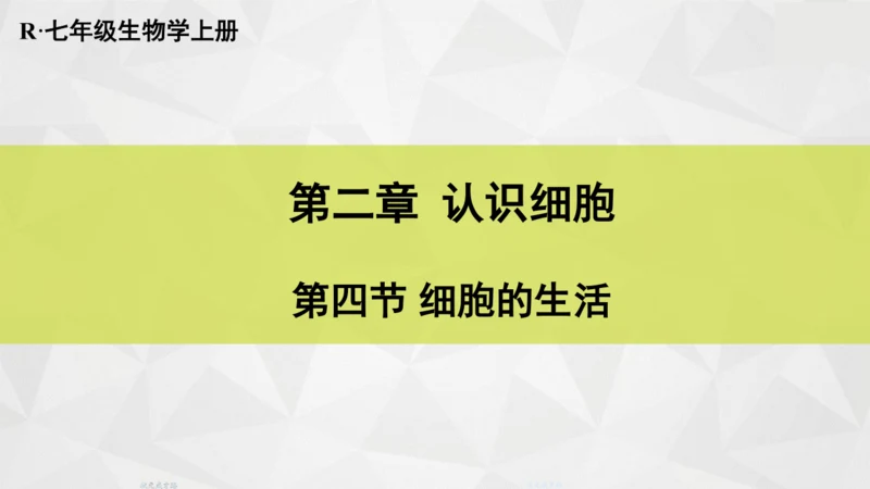 人教版（新课程标准）（2024）1.2.4细胞的生活(共41张PPT)