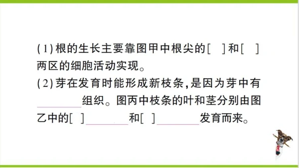 【掌控课堂-创优作业】人教版生物七(上)第三单元 第一、二章总结训练 (课件版)