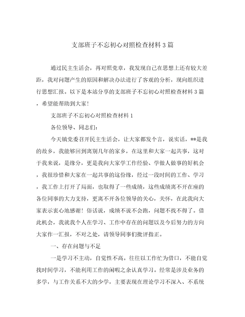 支部班子不忘初心对照检查材料3篇