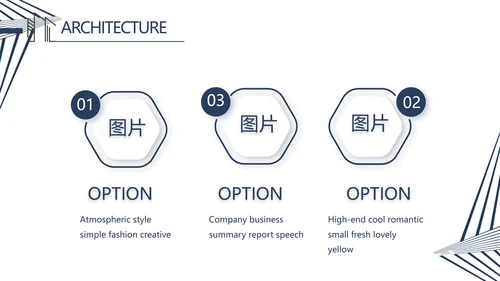 简约室内设计方案汇报工作总结PPT