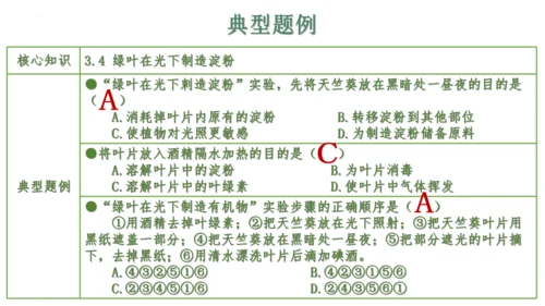 第三单元 植物的生活（单元复习课件）2023-2024学年七年级生物上册同步精品课件（人教版）(共3