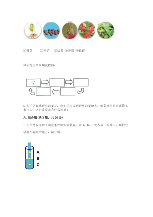 科学四年级下册第一单元植物的生长变化测试卷含完整答案（典优）.docx