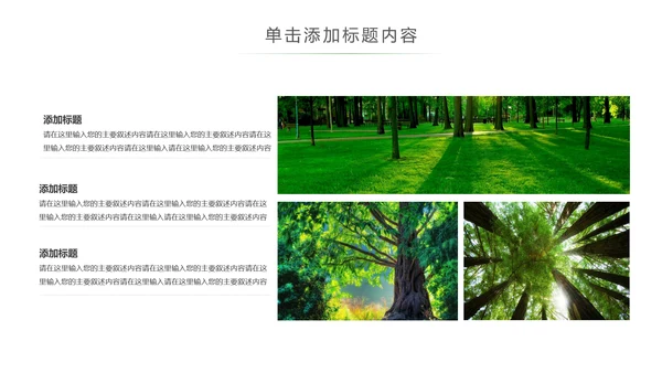 湿地森林世界湿地森林日植树造林动态PPT模板