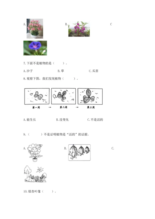 教科版一年级上册科学期末测试卷【研优卷】.docx