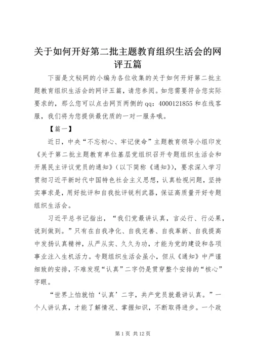 关于如何开好第二批主题教育组织生活会的网评五篇.docx