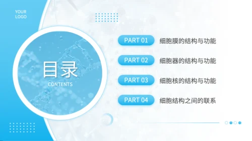 蓝色简约风细胞结构探秘PPT