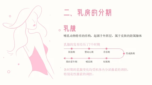 粉色插画简约商务乳房护理乳腺护理培训PPT模板