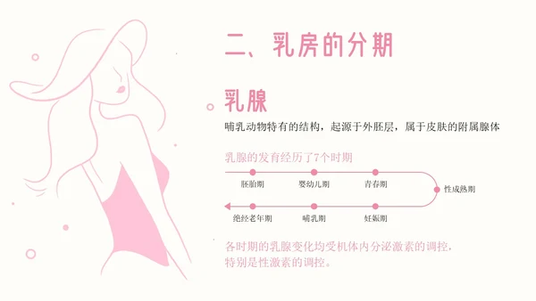 粉色插画简约商务乳房护理乳腺护理培训PPT模板