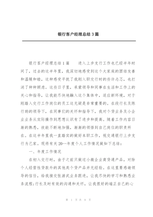 银行客户经理总结3篇.docx