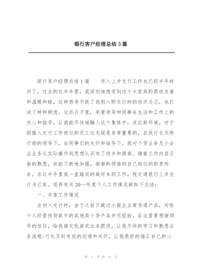 银行客户经理总结3篇.docx