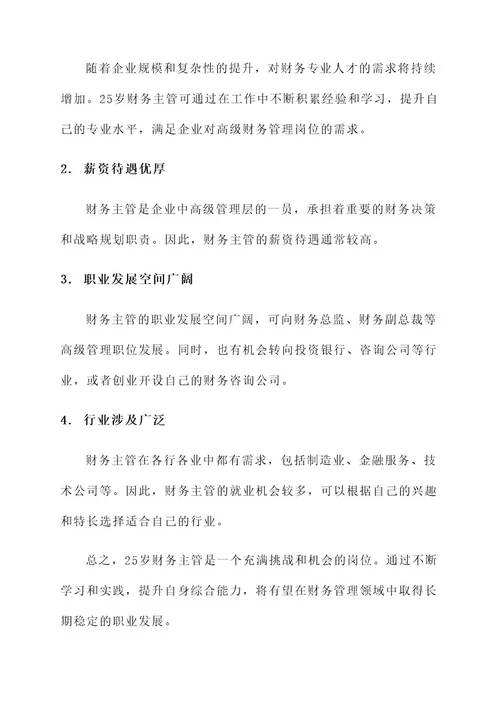 25岁财务主管工作内容
