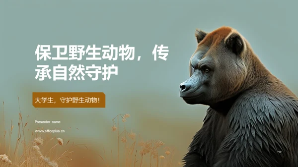 简约风其他行业教学课件PPT模板