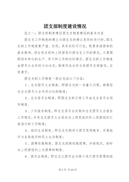 团支部制度建设情况.docx