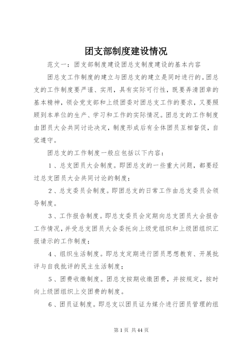 团支部制度建设情况.docx