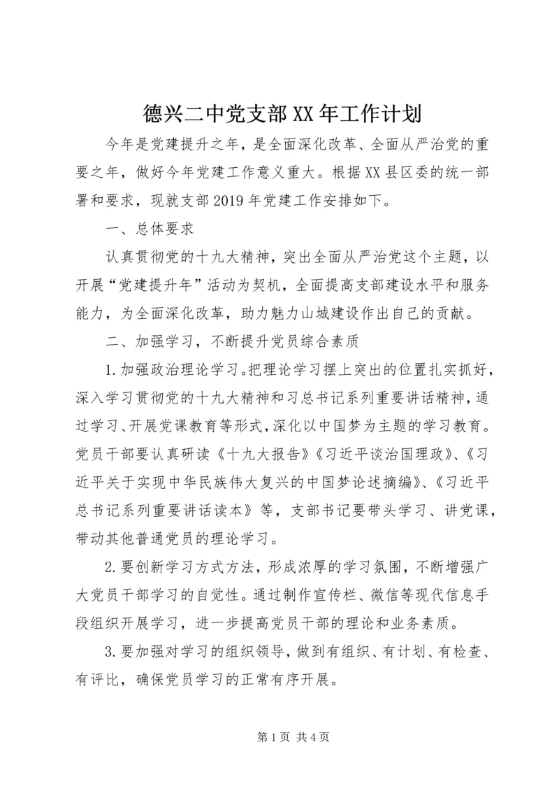 德兴二中党支部XX年工作计划.docx