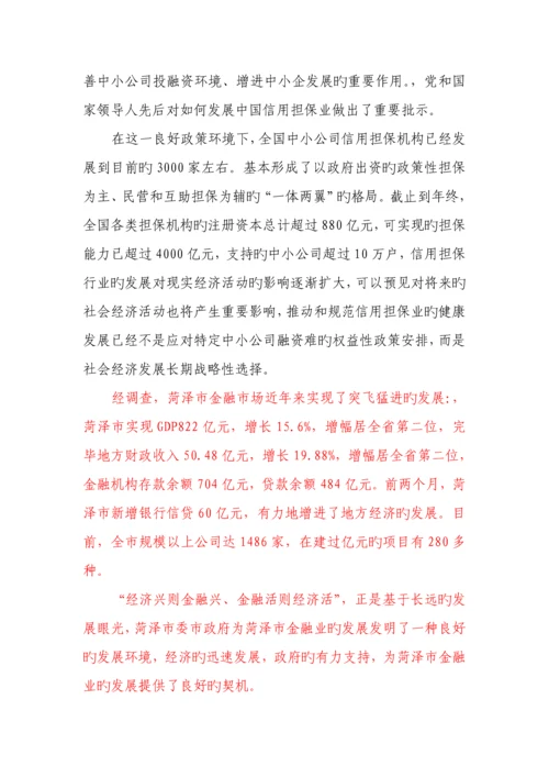 担保公司可行性专题研究报告详细(2).docx