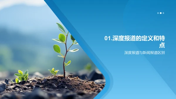 植树节深度报道研究