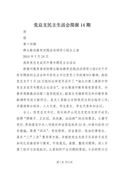 党总支民主生活会简报14期.docx