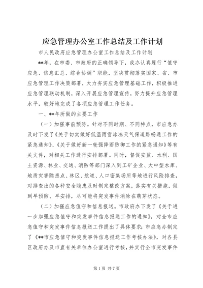 应急管理办公室工作总结及工作计划_1.docx