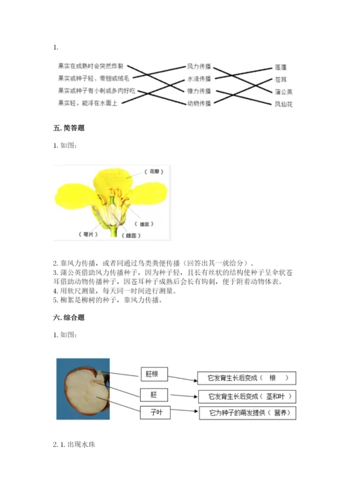 科学四年级下册第一单元《植物的生长变化》测试卷（完整版）.docx