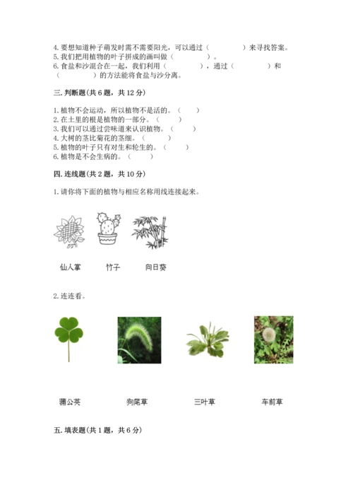 教科版科学一年级上册第一单元《植物》测试卷精品【考试直接用】.docx