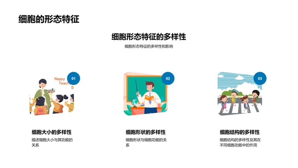 细胞结构与功能解读PPT模板