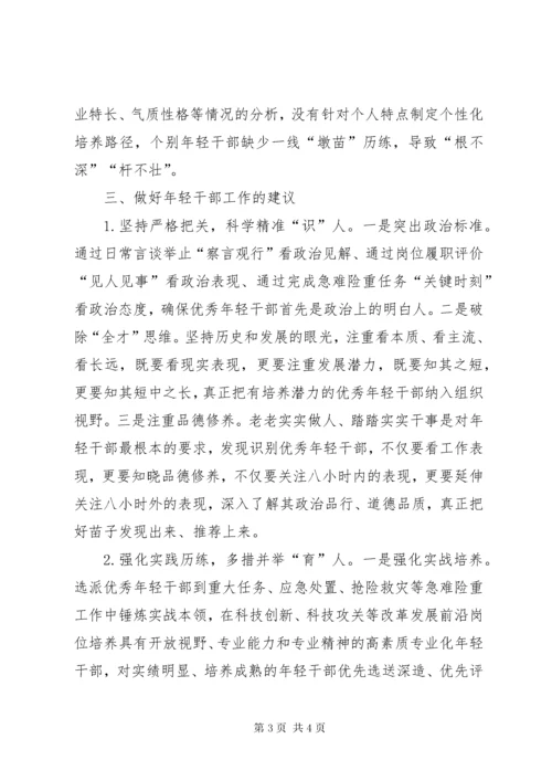 在加强年轻干部队伍建设座谈会上的讲话.docx