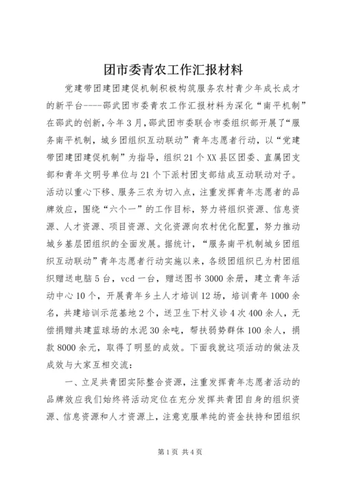 团市委青农工作汇报材料 (6).docx