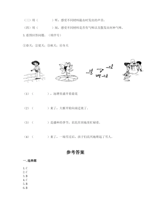 教科版小学二年级上册科学期末测试卷（能力提升）.docx