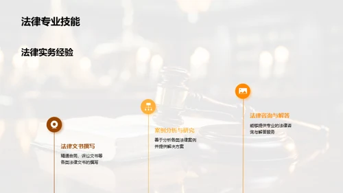 法律职业全景解析