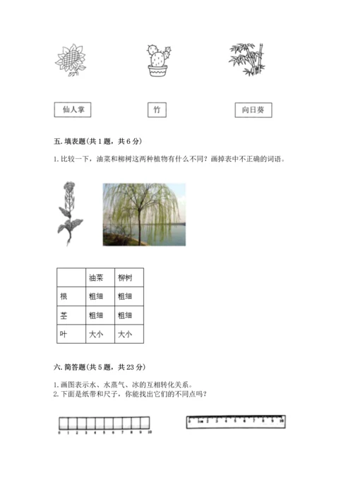 教科版一年级上册科学期末测试卷及下载答案.docx