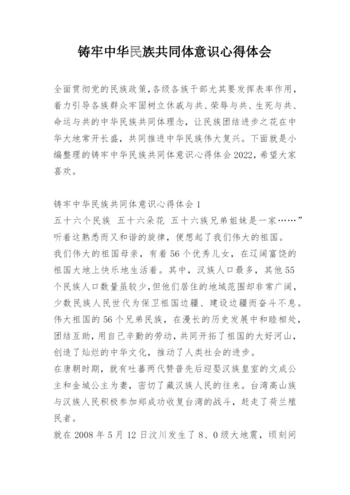 铸牢中华民族共同体意识心得体会.docx