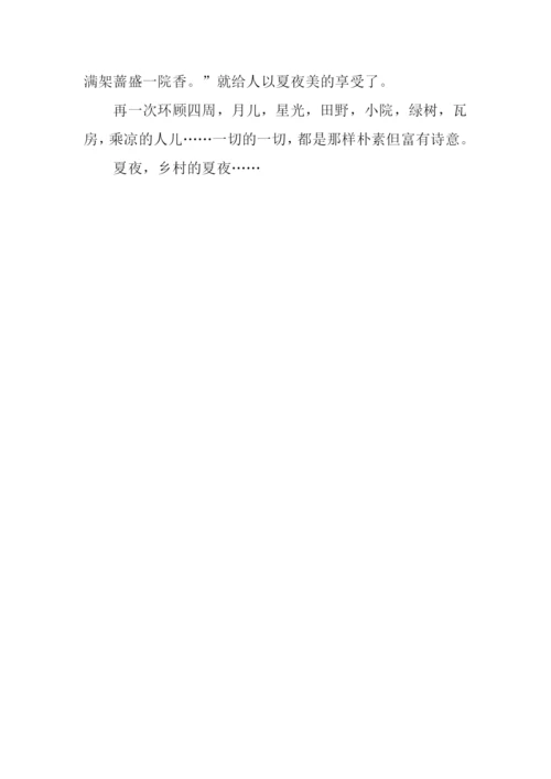 乡村夏夜作文600字.docx