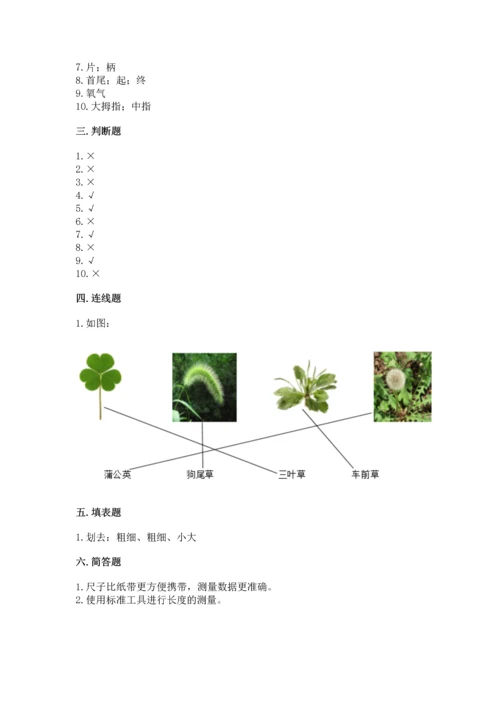 教科版科学一年级上册期末测试卷附参考答案（考试直接用）.docx