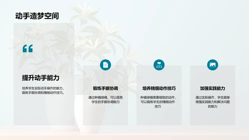 绿植种植入门指南