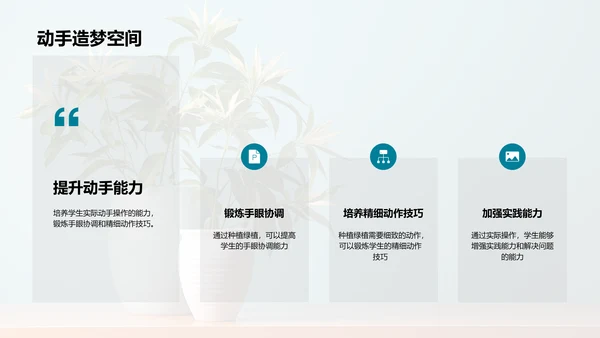 绿植种植入门指南