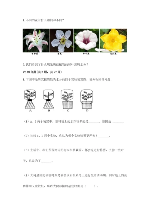 科学四年级下册第一单元《植物的生长变化》测试卷及答案【名校卷】.docx