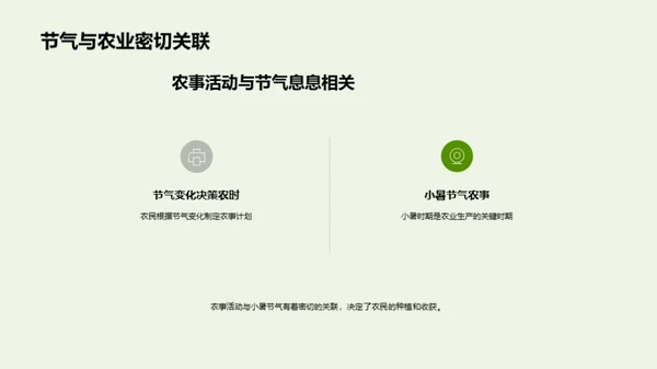 小暑气候全解析