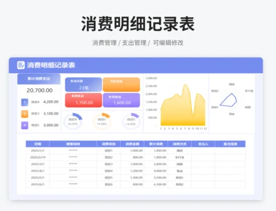 消费明细记录表