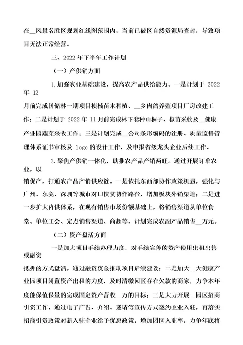 农业投资集团关于2022年上半年工作情况及下半年工作计划范文