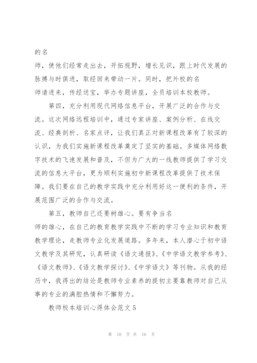 教师校本培训心得体会范文.docx