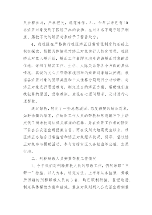 社区安置帮教工作总结.docx